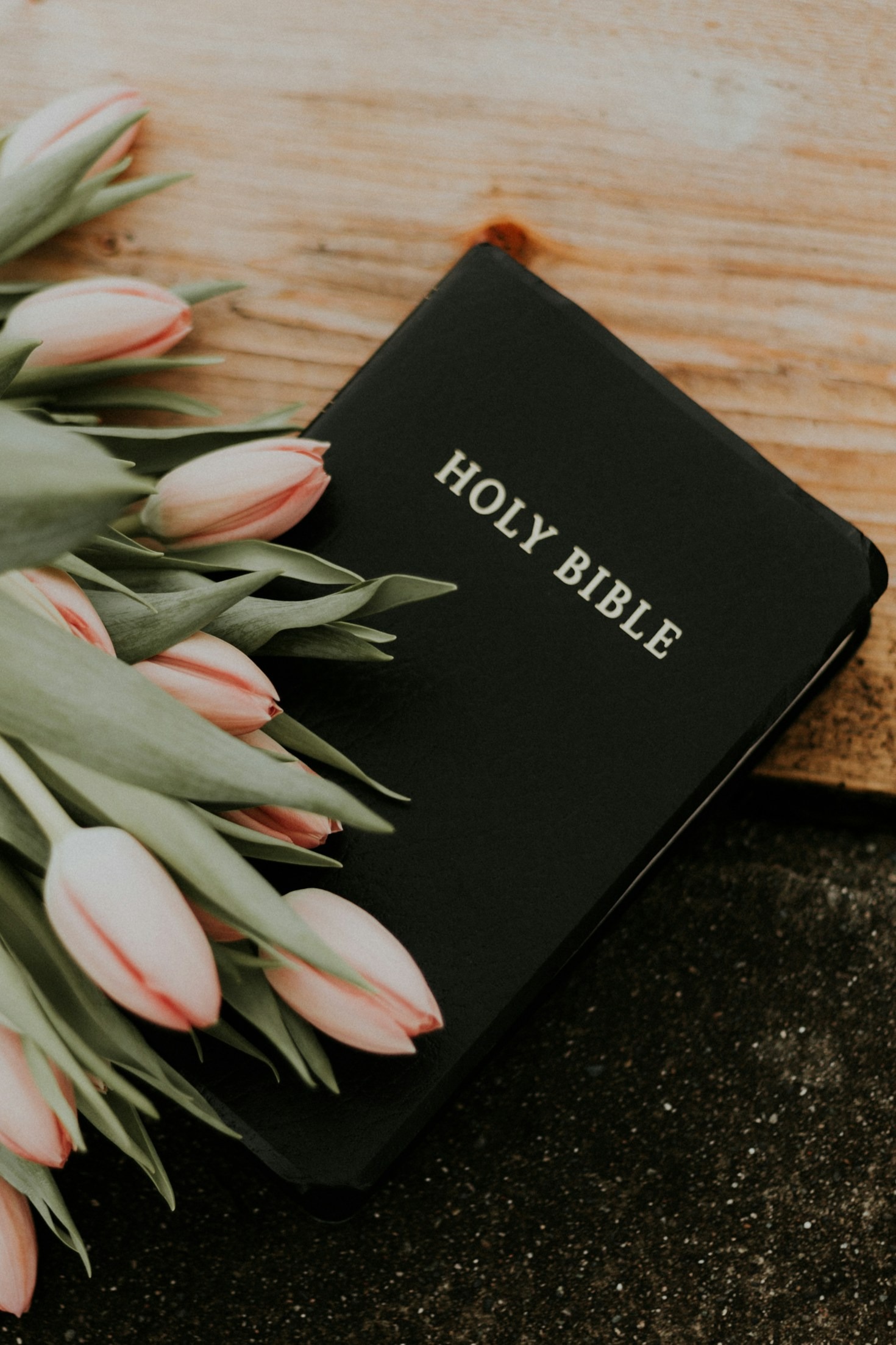 Understanding Biblical Teachings in Today’s World