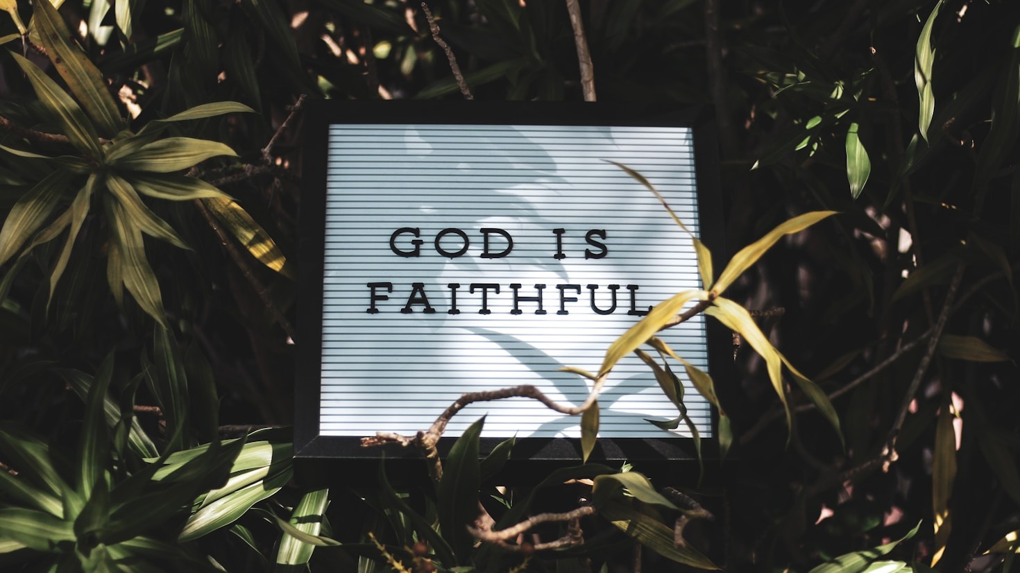 Stories of Hope: Testimonies from Our Congregation