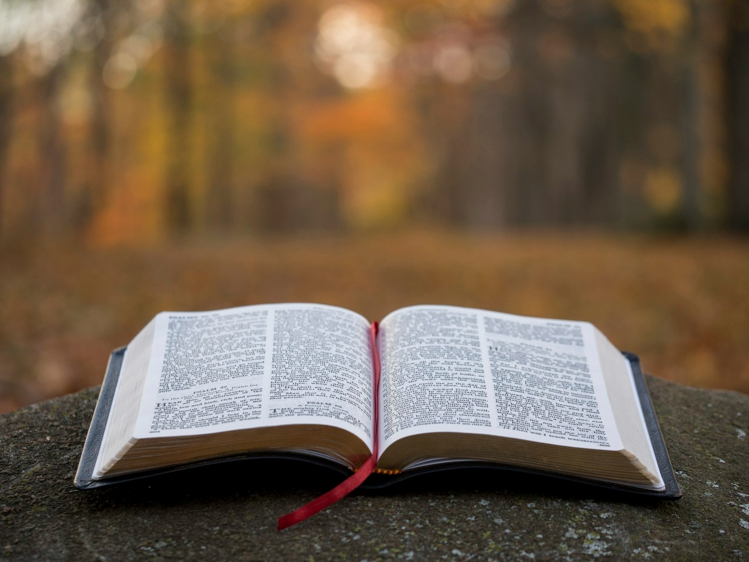 What Does It Mean to Walk with Christ?